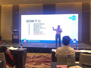 大數(shù)據(jù)浪潮席卷廈門,帆軟或成有力支撐