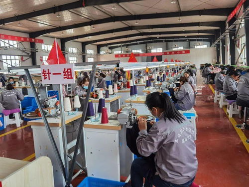 現(xiàn)實(shí)版 山海情 廈門唯一上榜集體 國家級殊榮